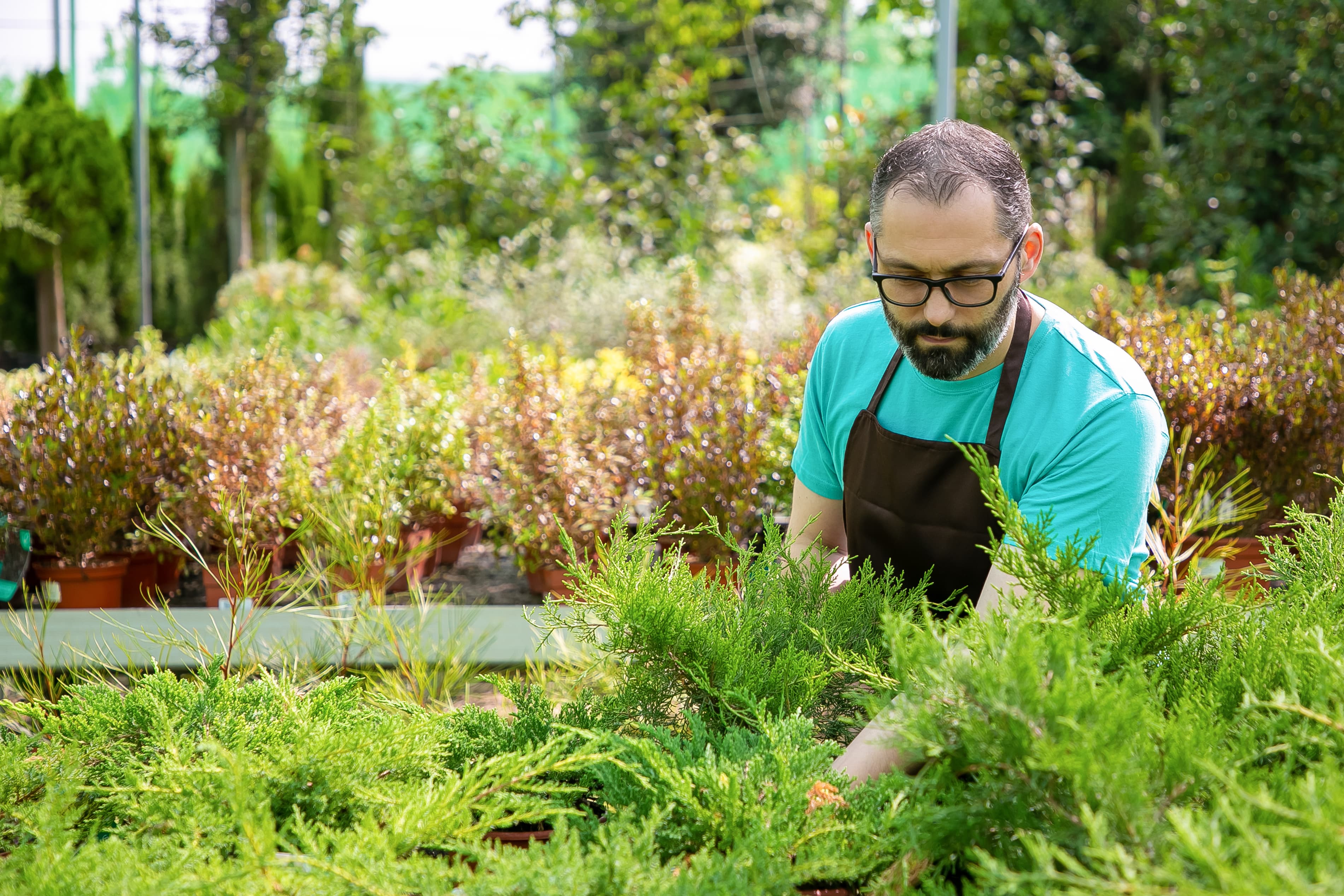 Landscaper